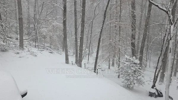 Snow-covered driveway