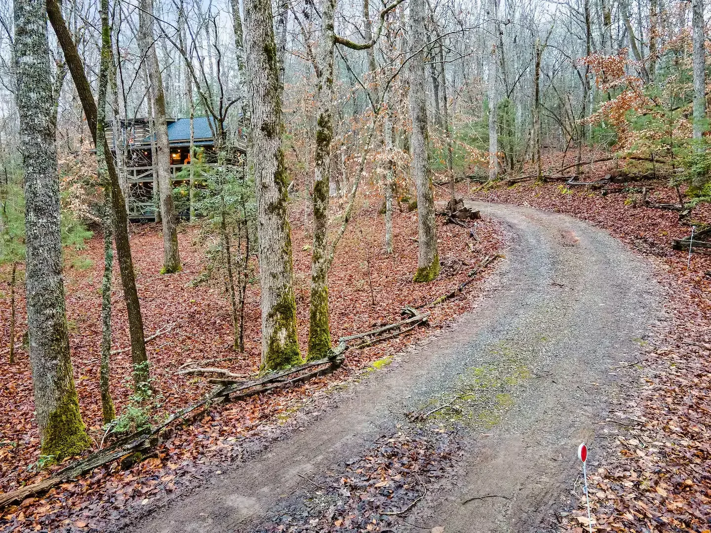 Gravel driveway approaching the cabin