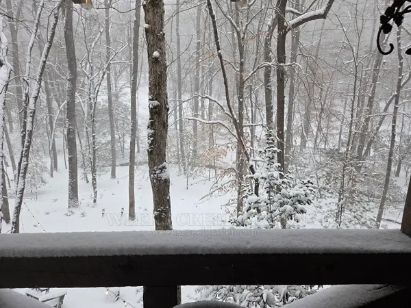 Snow around the cabin
