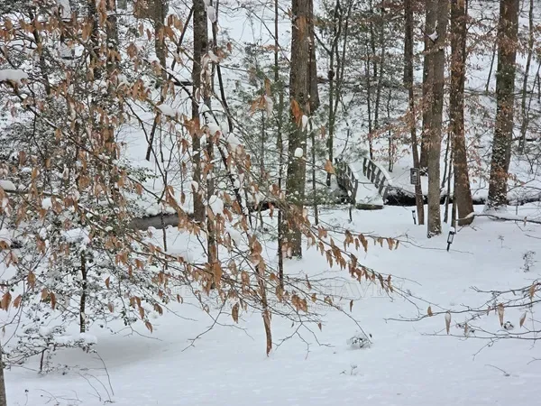 Creek bridge covered in snow